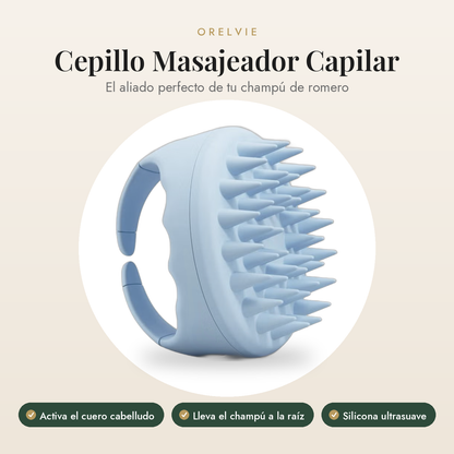 Cepillo Masajeador