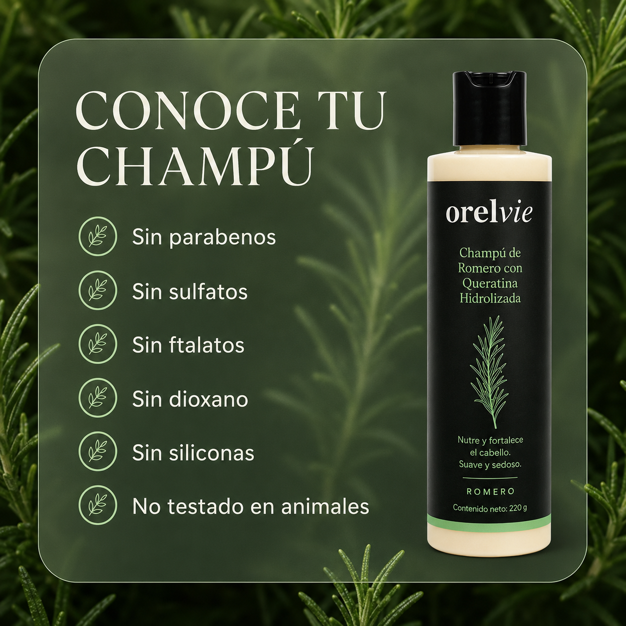 Champú de Romero Anticaída by Orelvie