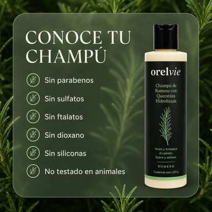 Champú de Romero Anticaída by Orelvie