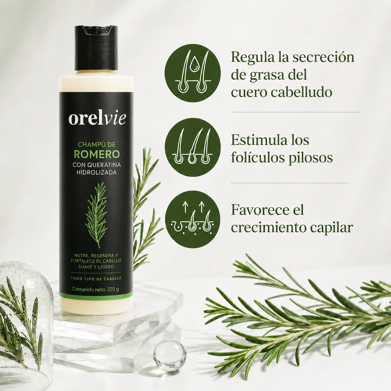 Champú de Romero Anticaída by Orelvie