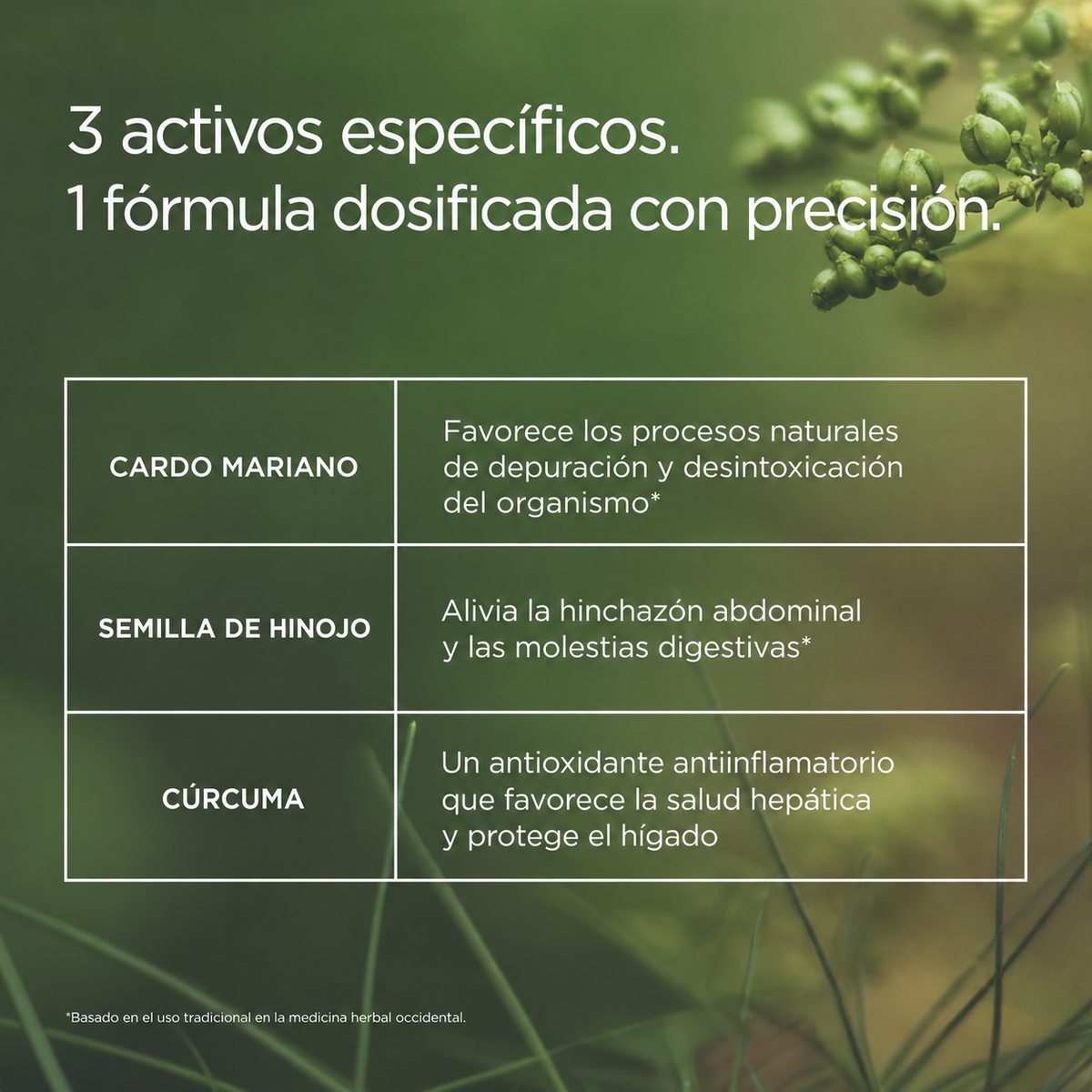 Fórmula Desintoxicante y Antihinchazón by Orelvie