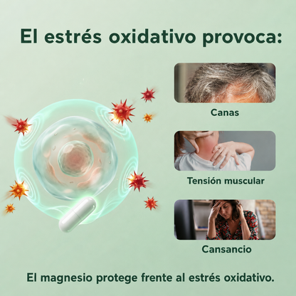 Orelvie- Complejo de magnesio