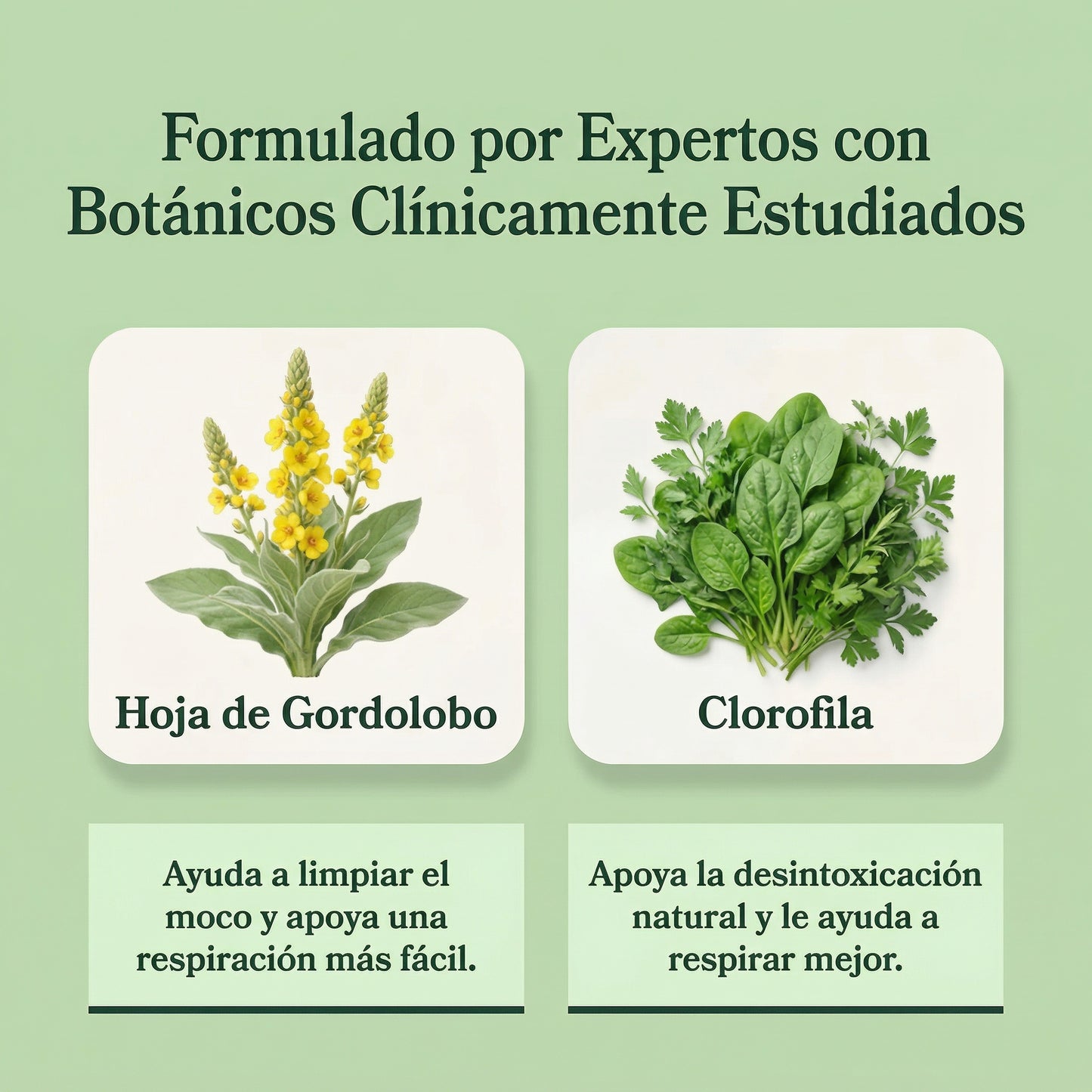 ORELVIE - Extracto de Gordolobo y Clorofila (Solución Definitiva Para Fumadores)